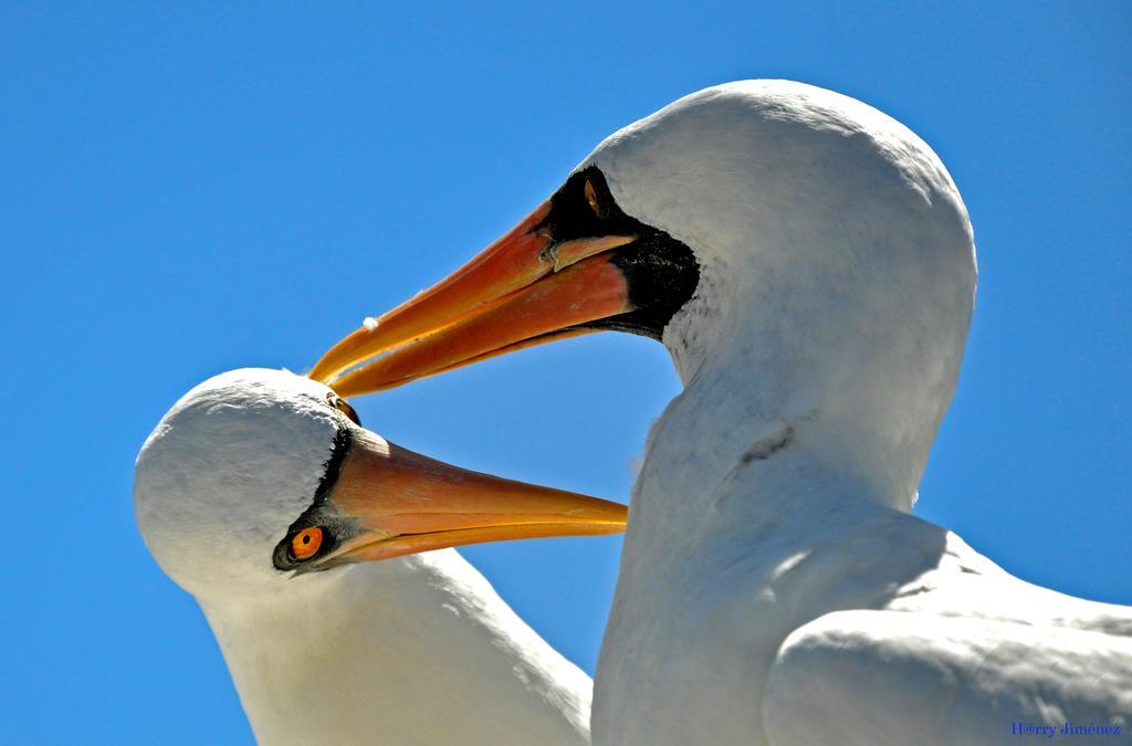 Bed and Breakfast Galapagos Eco Friendly Пуэрто-Бакерисо-Морено Экстерьер фото